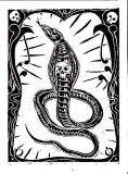 Black Cobra 21x14,8 cm limitierte Auflage