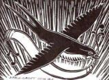 Schwalbe 21x14,8 cm limitierte Auflage